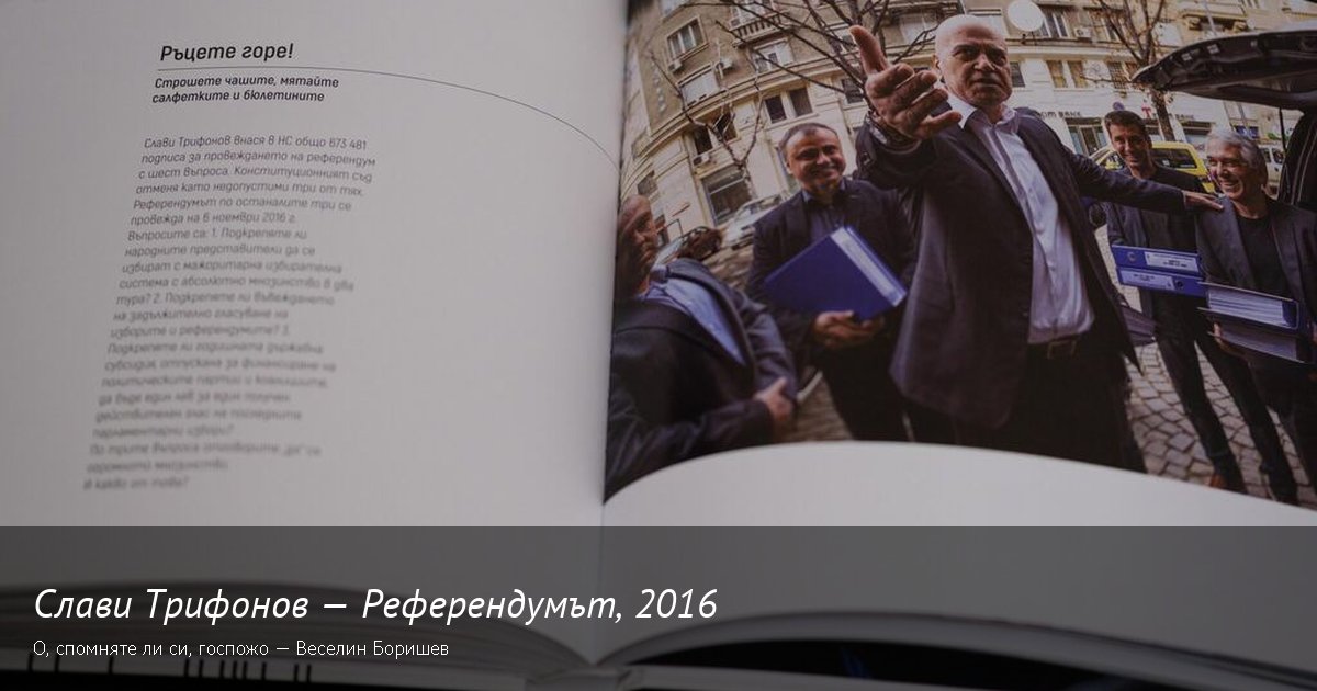Референдумът на Слави · 2016